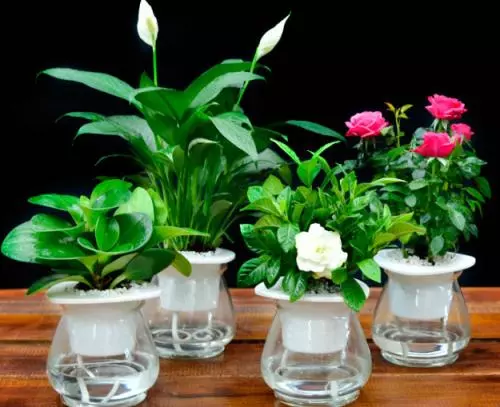 除甲醛公司靠譜嗎?錢(qián)花了真的能去除甲醛嗎? 除甲醛公司靠譜嗎?錢(qián)花了真的能去除甲醛嗎?
